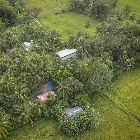 Coconut Park Bed & Breakfast Anuradhapura Exterior photo