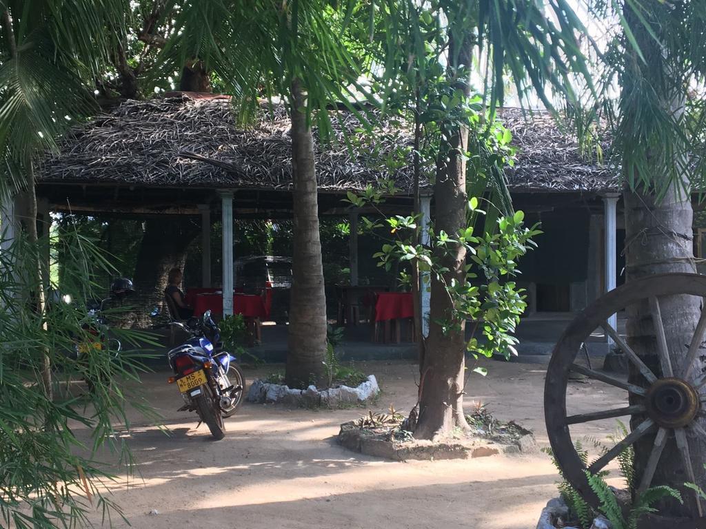 Coconut Park Bed & Breakfast Anuradhapura Exterior photo