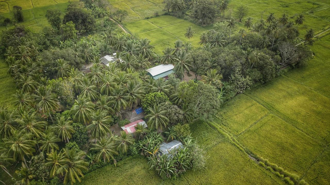 Coconut Park Bed & Breakfast Anuradhapura Exterior photo